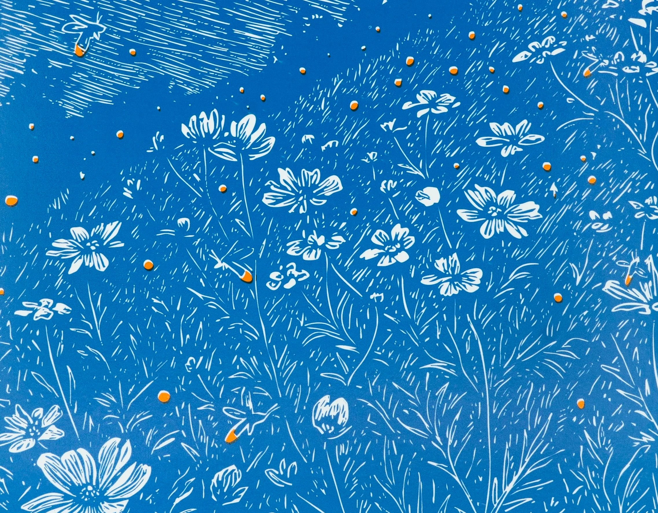 Fireflies Decomposition Book - Image 2