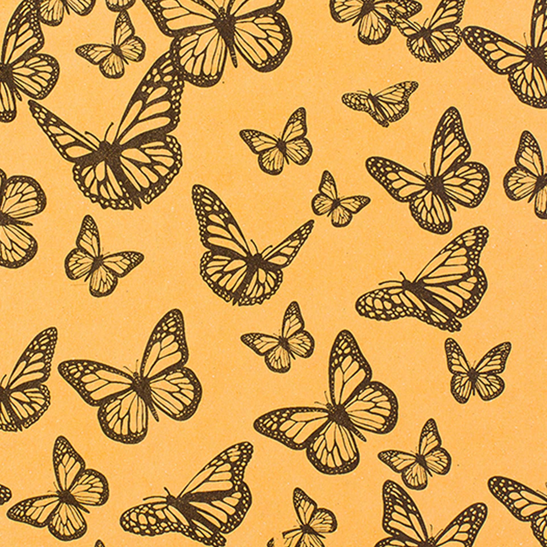 Monarch Migration Decomposition Book - Image 2