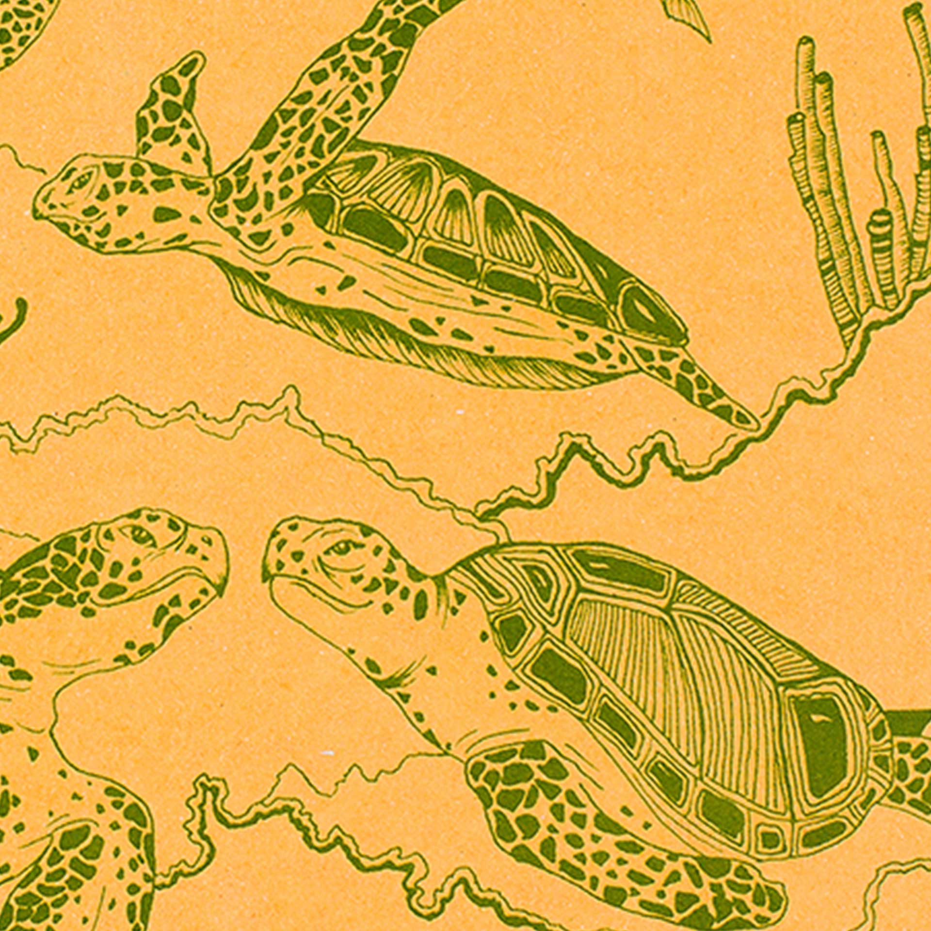 Sea Turtles Decomposition Book - Image 2