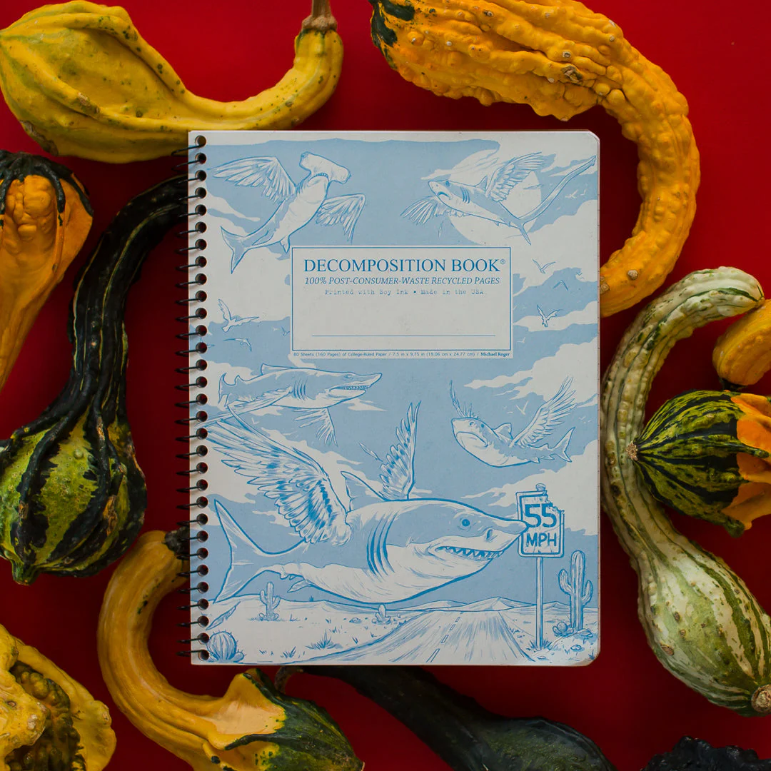 Flying Sharks Decomposition Book - Image 3