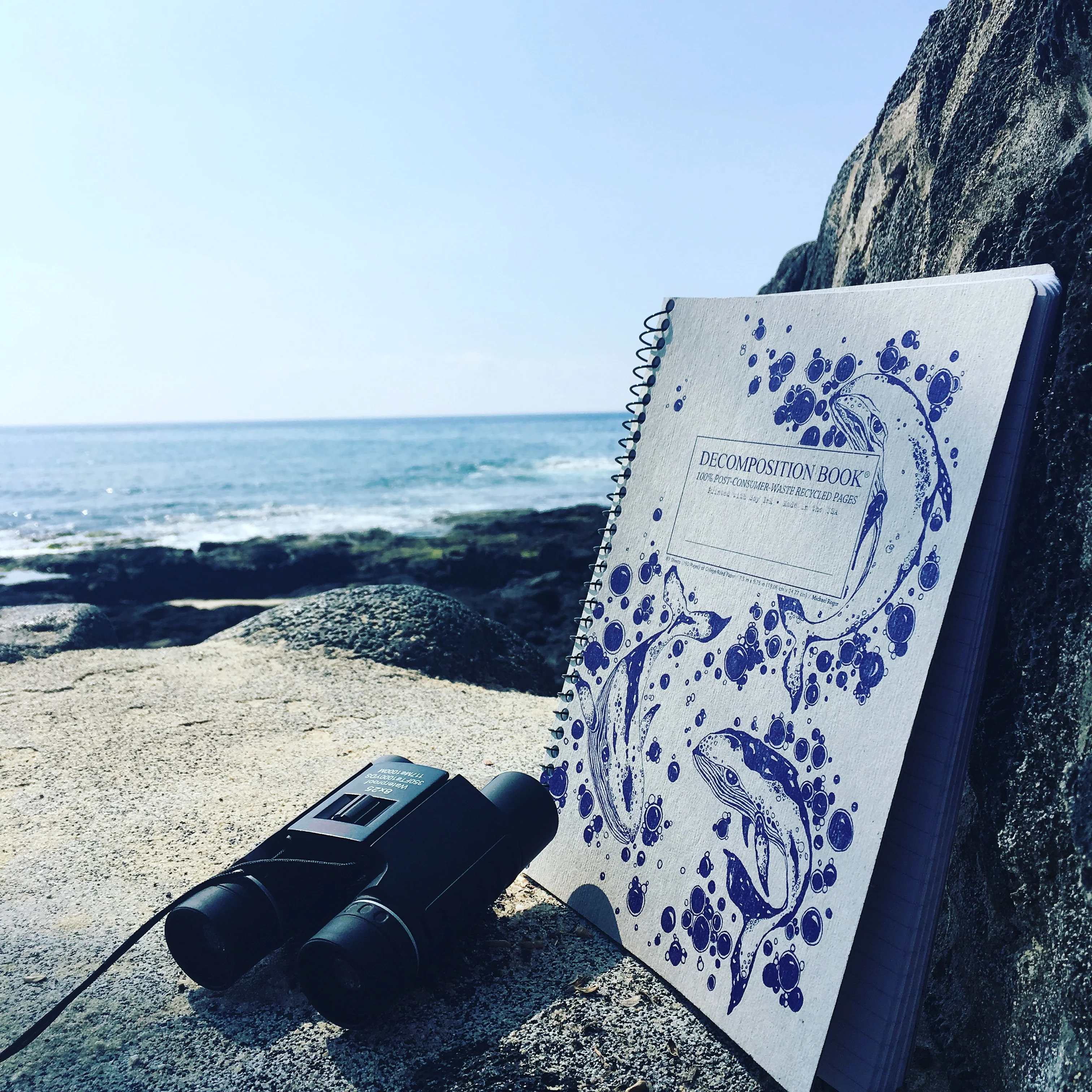 Humpback Whales Decomposition Book - Image 4