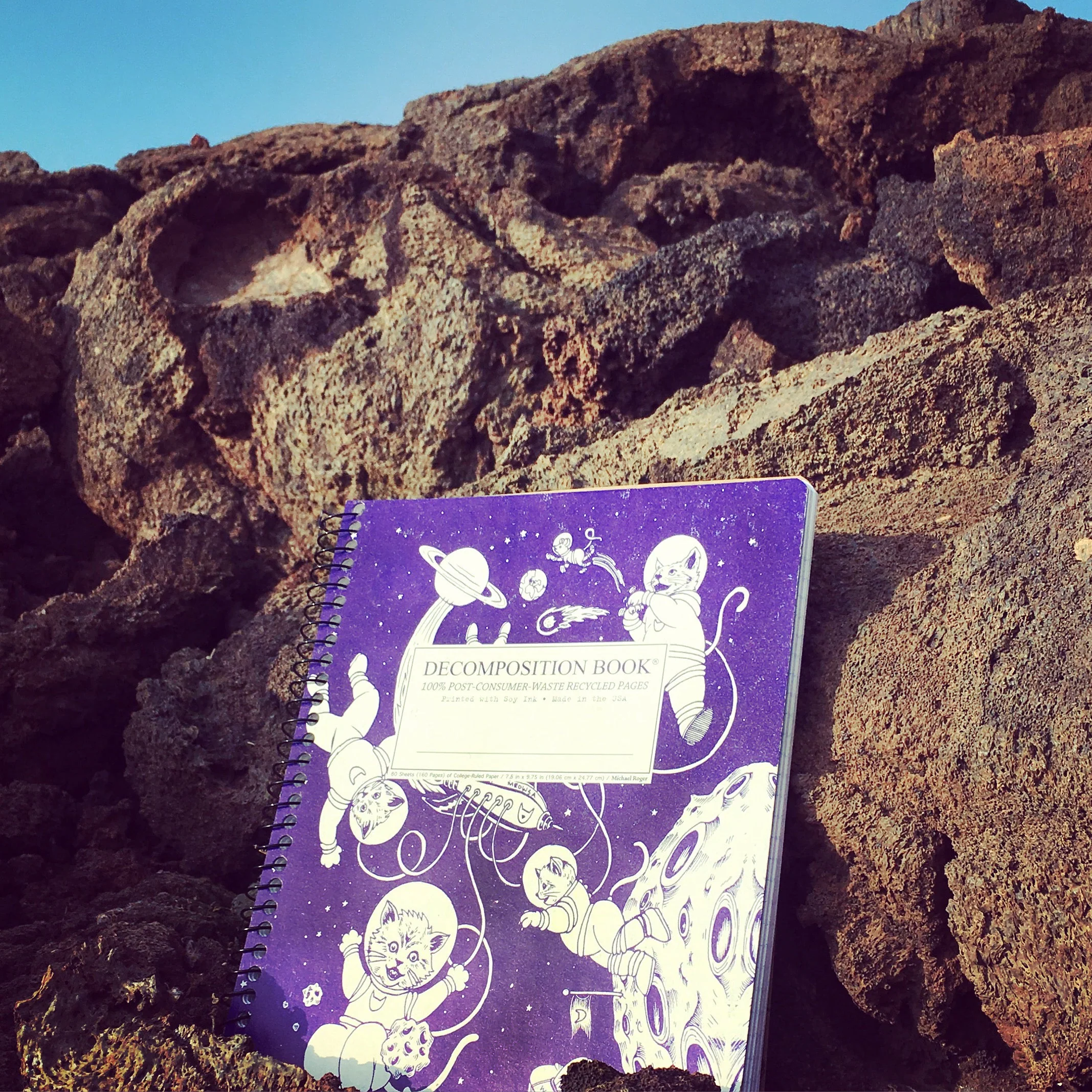 Kittens in Space Decomposition Book - Image 3